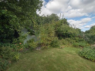 Picture 20